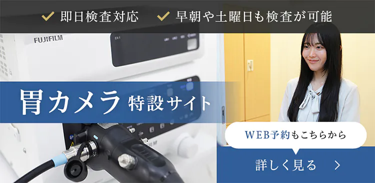 胃カメラ特設サイト